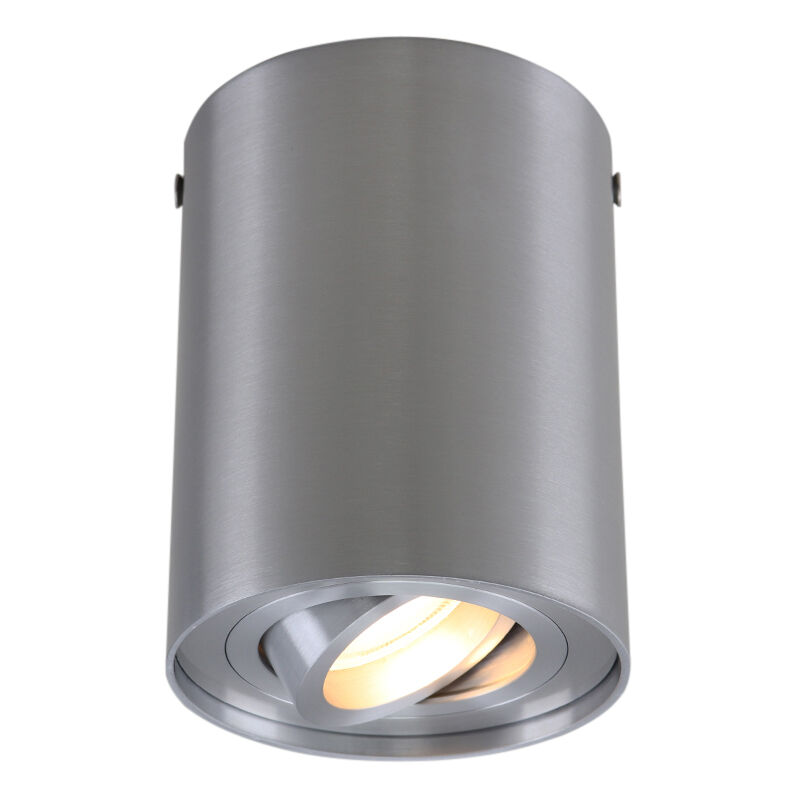 Modern surface mounted downlight silver, Onno