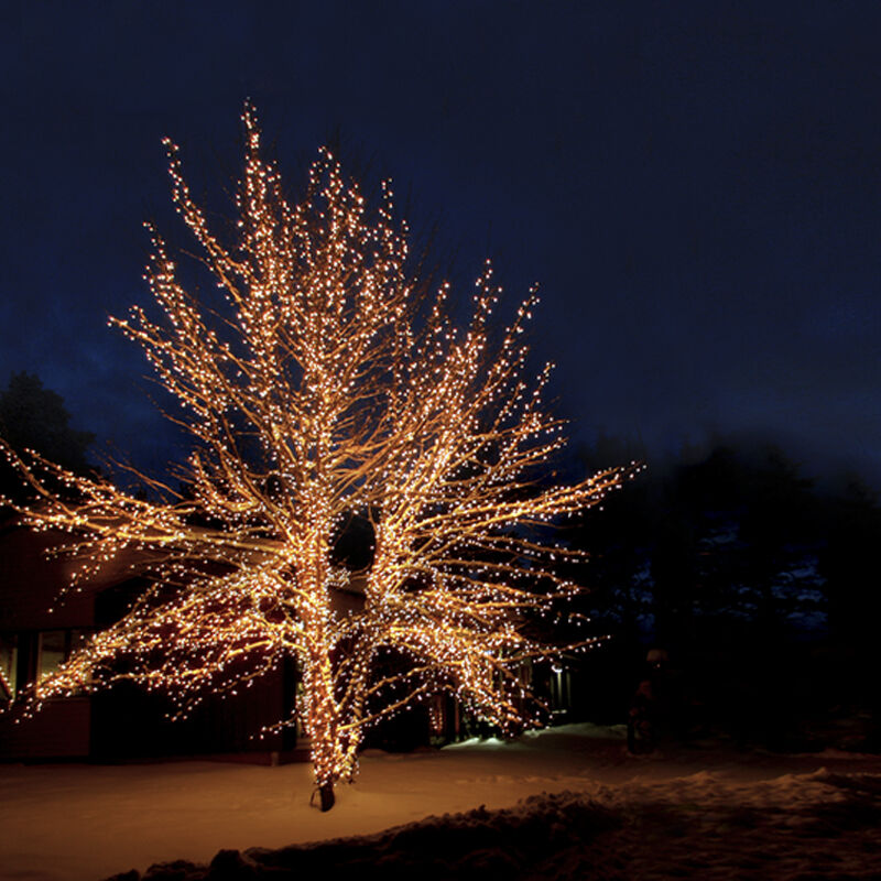 100M black linkable tree light, 10 leds per meter, IP67 - Warm white