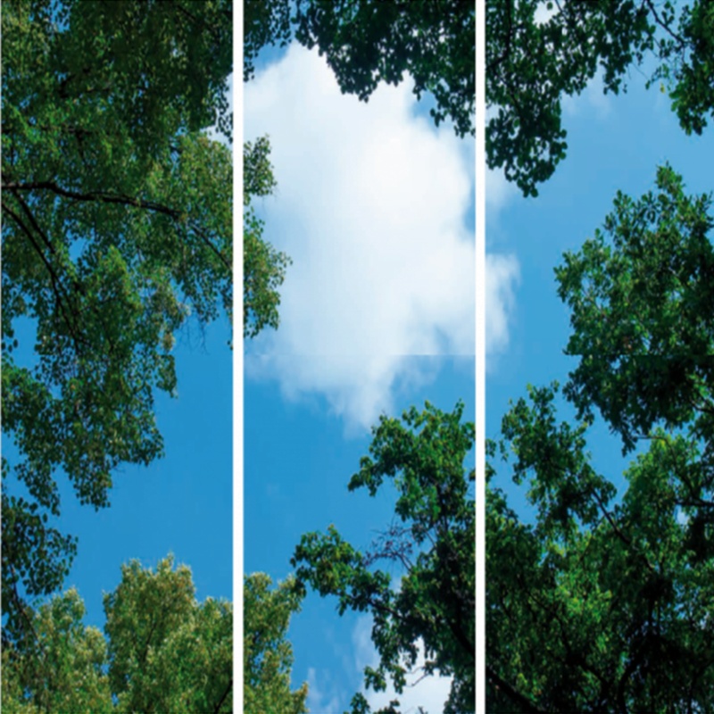Photo print cloud with forest - set of 3 acrylic plates with print, for 120x60 cm LED panels