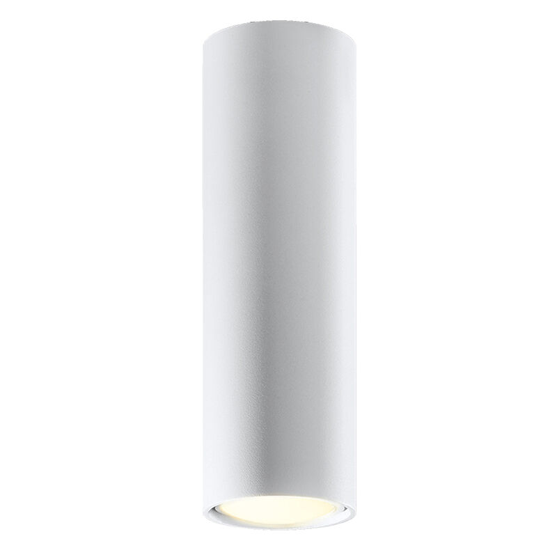 Aluminium surface mounted downlight white, Harley