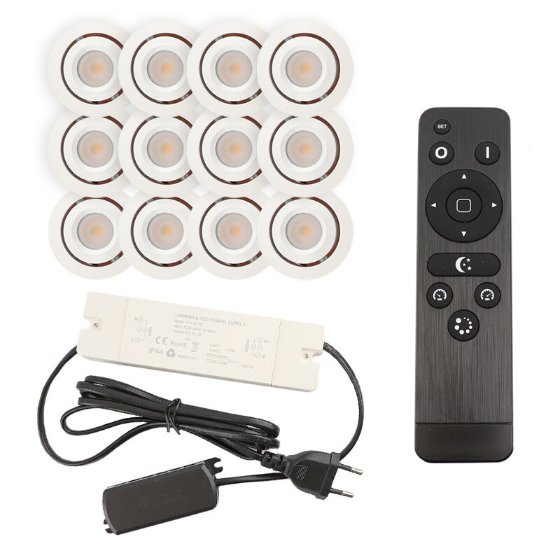 12 adjustable porch spotlights Rona, IP44, with connection set and remote control, white