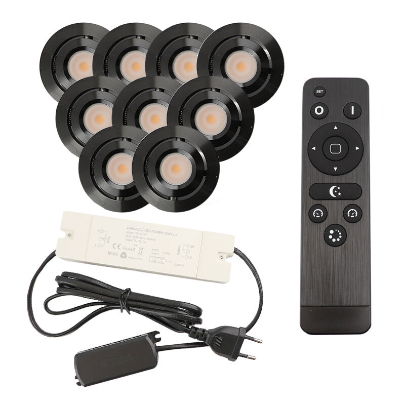 9 adjustable porch spotlights Rona, IP44, with connection set and remote control, black