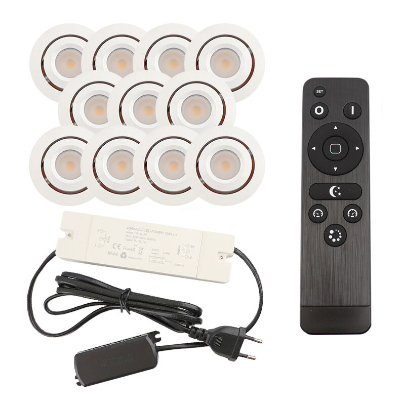 11 adjustable porch spotlights Rona, IP44, with connection set and remote control, white
