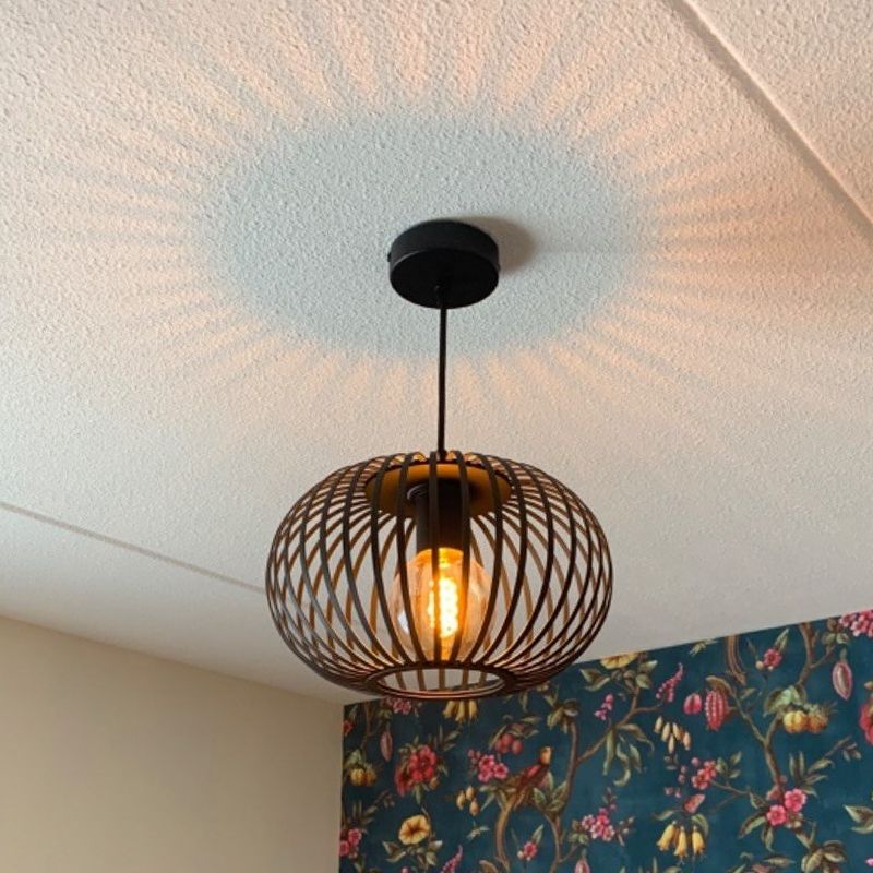 Industrial pendant light black, Lieve