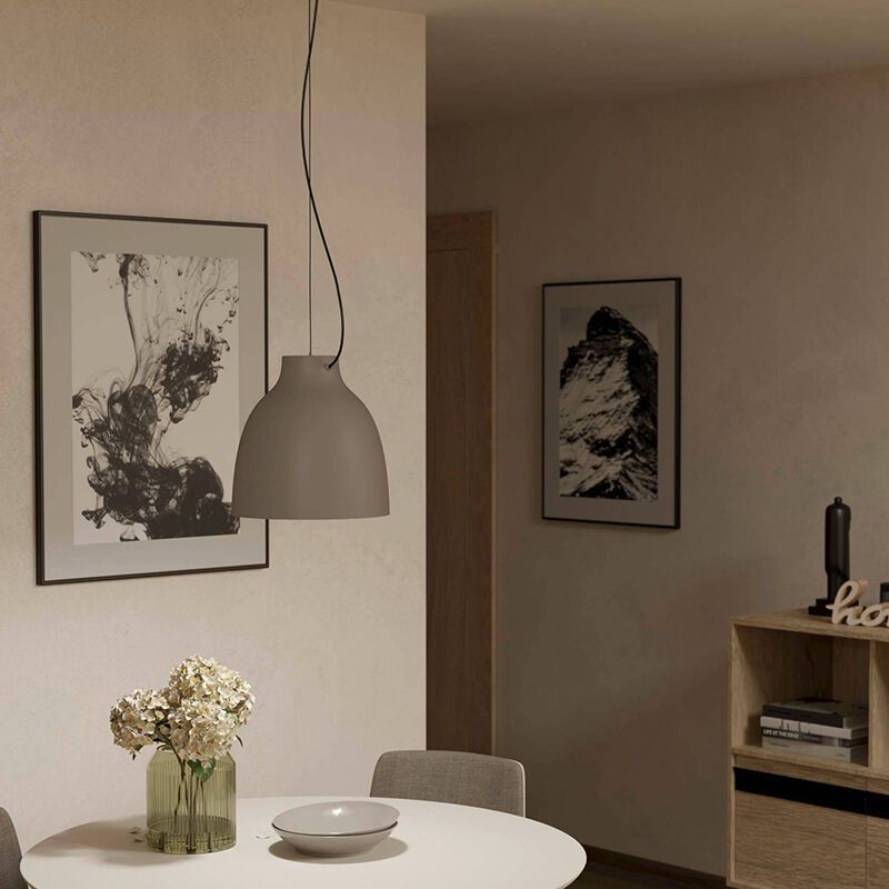 Taupe industrial pendant light aluminium, Thijs
