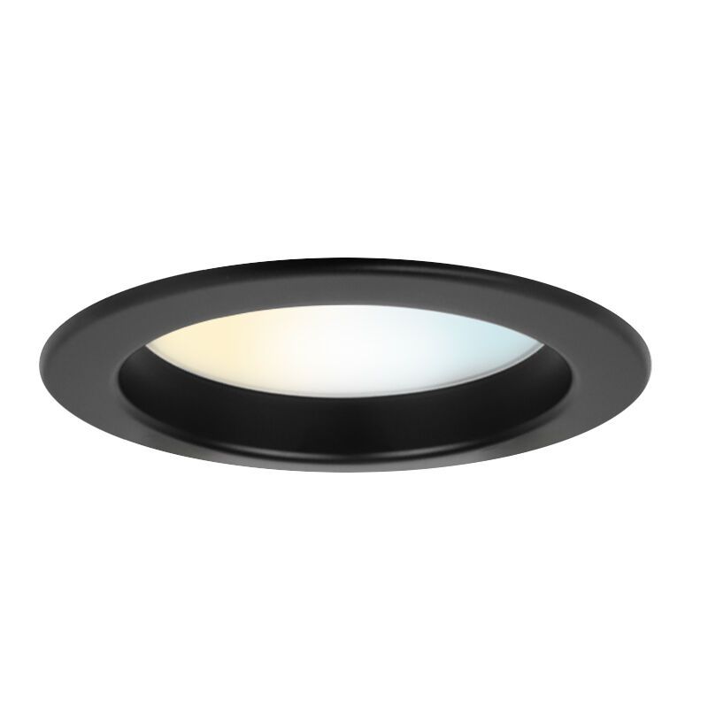 Black downlight aluminium, Otmar, 12W, white switch LED, IP22