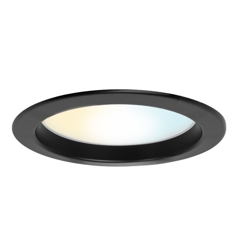 Black downlight aluminium, Otmar, 15W, white switch LED, IP22