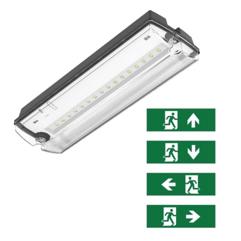 Black emergency lighting incl. pictograms, Pedram, 3W, 6500K LED, IP66