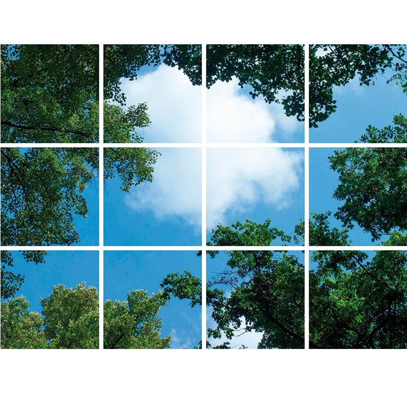 Photo print cloud with forest - set of 12 acrylic plates with print, for 60x60 cm LED panels