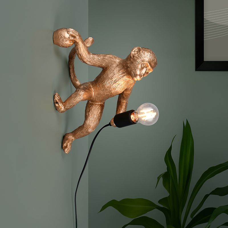 Golden wall light plastic, Macaca