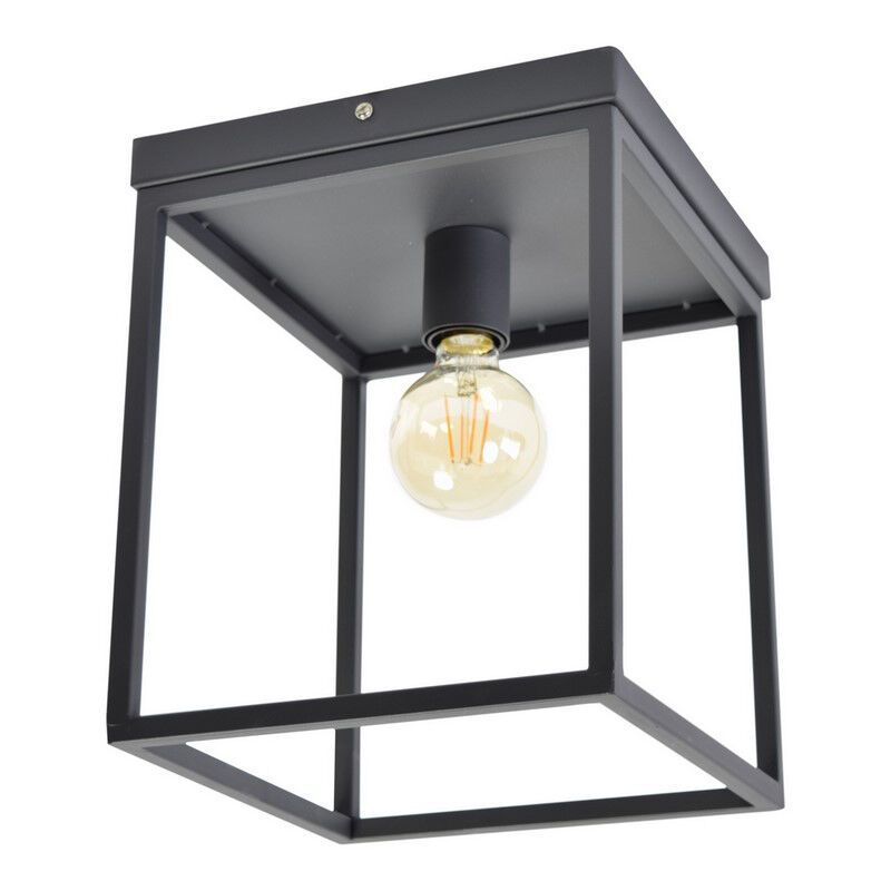 Industrial ceiling light black, Redox