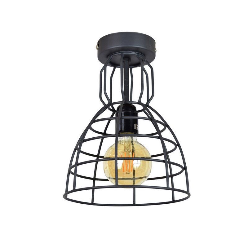 Industrial ceiling light black, Dexter Industrial ceiling light black, Dexter