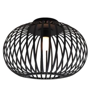 Industrial bathroom ceiling light black, Lieve, IP44