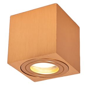 Metal surface mounted downlight brass, Alion, IP44