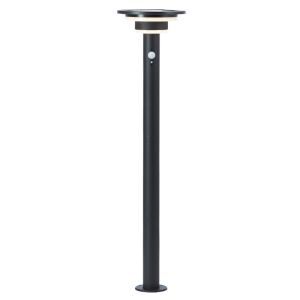 Modern solar outdoor floor lamp black, Lonneke, 3W, 3000K LED, IP44