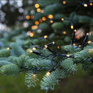 1.8m LED Christmas lighting on battery, 24 lamps, Indoor and Outdoor