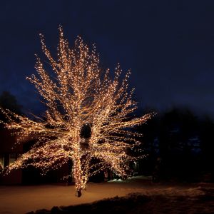 10M black linkable tree light, 10 leds per meter, IP67 - Warm white
