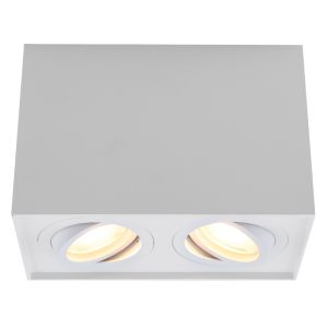 Modern surface mounted downlight white, Dane