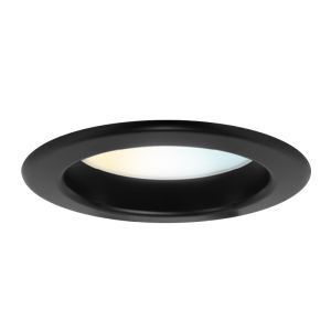Black downlight aluminium, Otmar, 10W, white switch LED, IP22