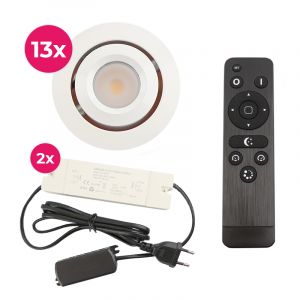 13 adjustable porch spotlights Rona, IP44, with connection set and remote control, white