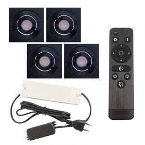 4 adjustable porch spotlights Rona square, IP44, with connection set and remote control, black