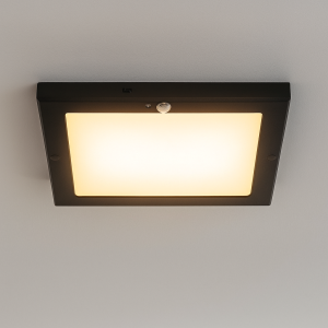 Plastic ceiling light with sensor black, Luan, 18W, 3000K LED