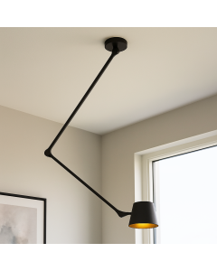 Modern ceiling light black, Rinke