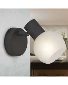 Glass wall light brown, Bertus