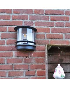 Rustic outdoor light transparent, Zare, IP44