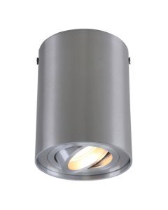 Modern surface mounted downlight silver, Onno