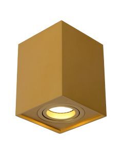 Golden surface mounted downlight modern, Tube