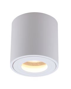 Modern surface mounted downlight white, Alion, IP44