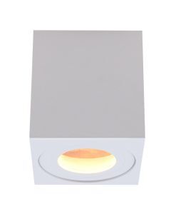 Modern surface mounted downlight white, Alion, IP44