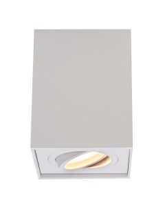 Modern surface mounted downlight white, Dane