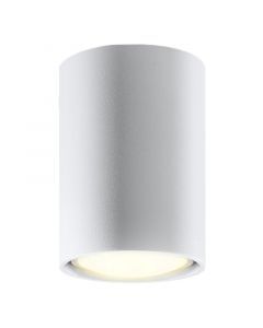Aluminium surface mounted downlight white, Harley
