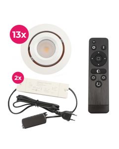 13 adjustable porch spotlights Rona, IP44, with connection set and remote control, white