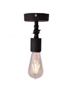 Industrial ceiling light black, Bolb