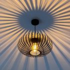 Industrial pendant light black, Lieve