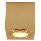 Metal surface mounted downlight brass, Alion, IP44
