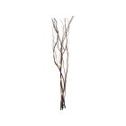 Brown willow branches with lighting, 60cm high, on battery