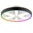 Plastic ceiling fan black, Roos, 48W, RGBW LED, with remote control