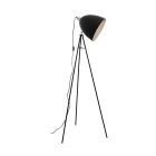 Black floor lamp steel, Eltjo, with switch