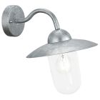 Silver rustic outdoor light glass, Dalisha, IP44