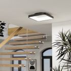 Black modern smart ceiling light steel, Shauni, 20W, RGBW LED, with remote control