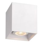 White surface mounted downlight modern, Raina