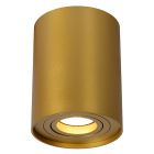 Golden surface mounted downlight modern, Tube