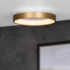 Blue flush ceiling light modern, Vidal, 20W, 2700K LED