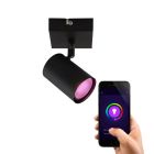 Modern smart ceiling light black, Elena, 4.5W, RGBW