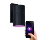 Modern smart outdoor light black, Pedro, IP44, 4.5W, RGBW