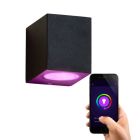 Modern smart outdoor light black, Corella, IP44, 4.5W, RGBW